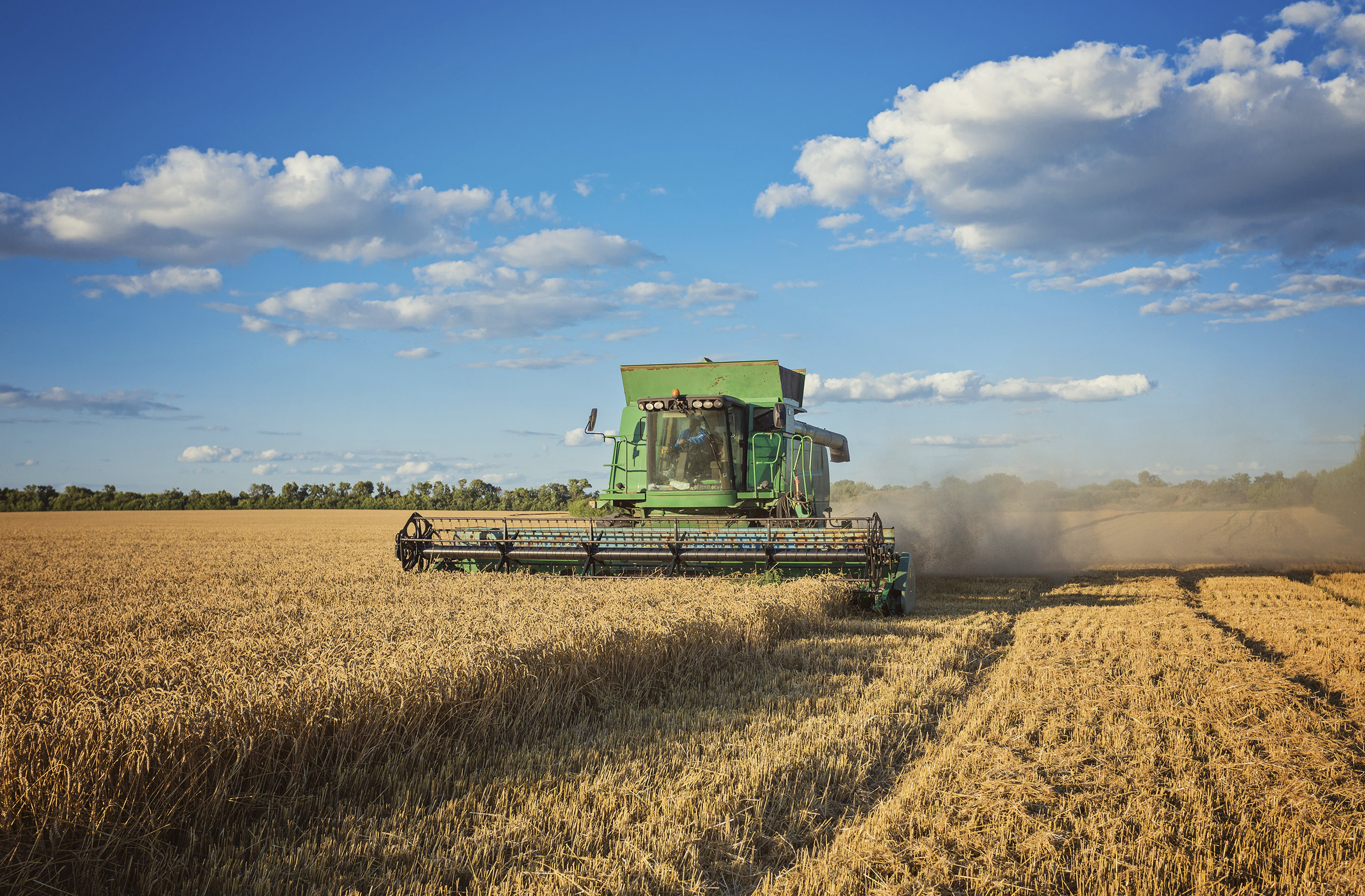 Reducir las emisiones de metano en agricultura: actores y compromisos en las NDC