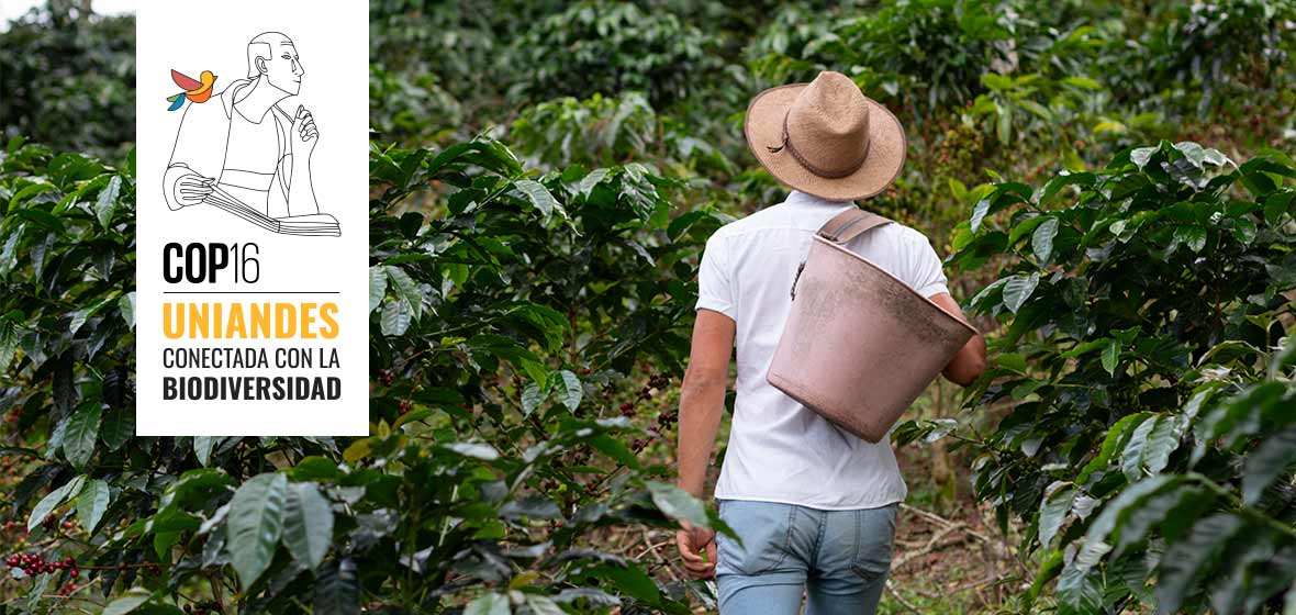 Tras los pasos de Wallace, el hombre que quedó a la sombra de Darwin