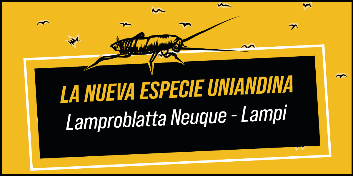 La líder del Centro de Metabolómica MetCore de Los Andes es la primera latinoamericana en recibir el reconocimiento. 