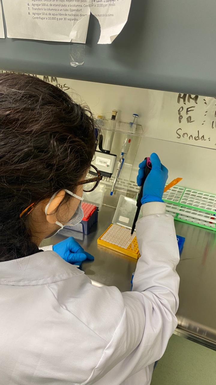 Pruebas moleculares