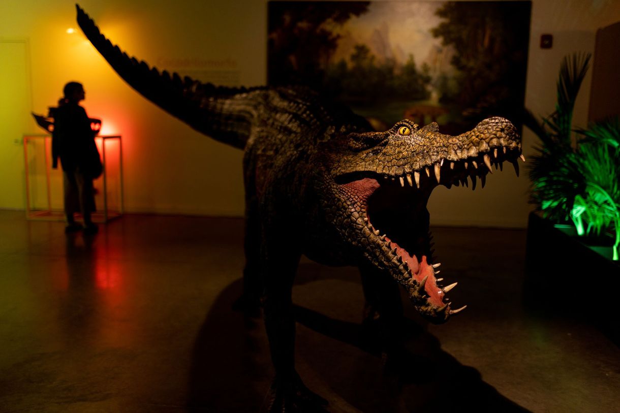 Colombia, el país con más dinosaurios