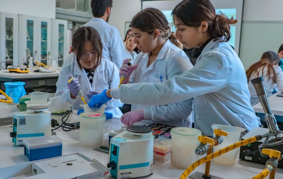 Kits educativos