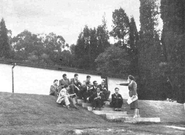 Ciclo básico estudios generales 1964