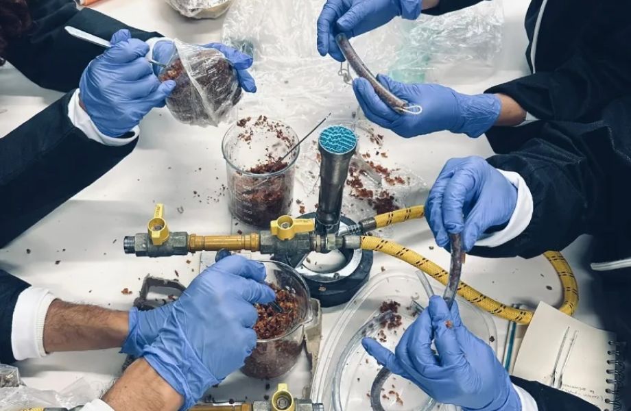 Micelio en 3D: Innovación con biomateriales