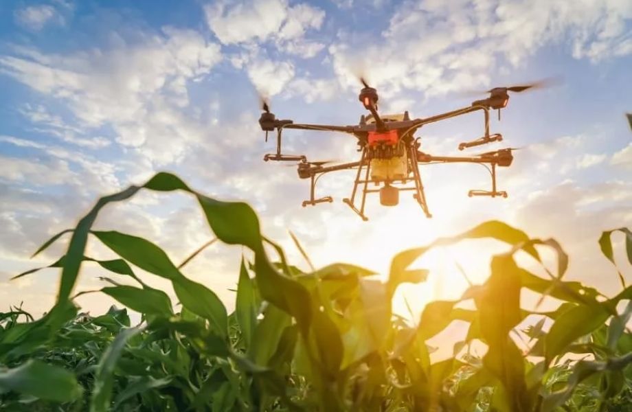 Aplicaciones de los Drones en Agronegocios