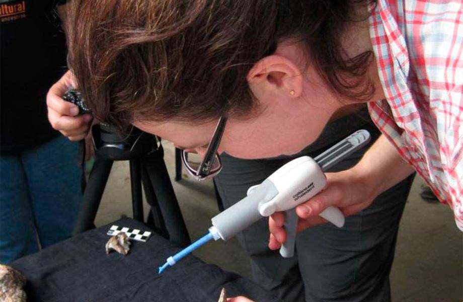 En el corazón del desierto de la Tatacoa, en el departamento del Huila, un hallazgo fósil está reescribiendo una parte clave de la historia evolutiva de los primates en América.