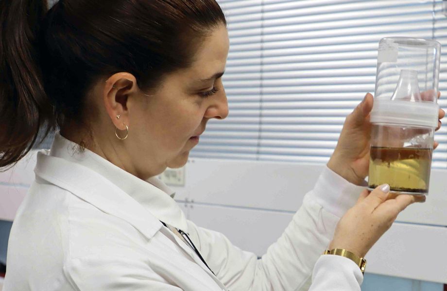 Durante los últimos años, Camila González y un grupo de egresados e investigadores colaboraron en una investigación con científicos de la Universidad de Toronto y de otras instituciones en Norteamérica, Sudamérica y Asia.