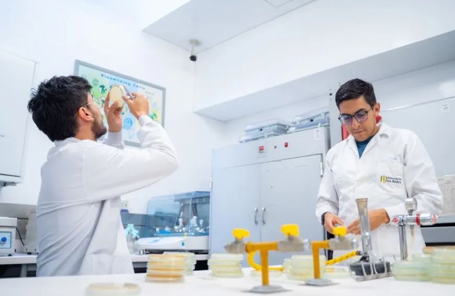 Biología Molecular: La Ciencia Detrás de la Innovación Genética