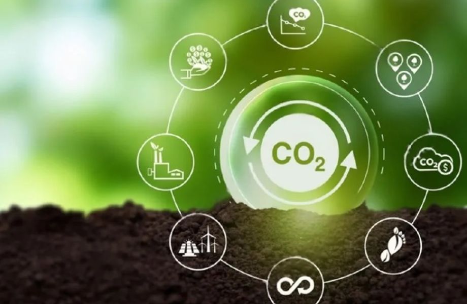 Captura de Carbono: Metodologías y Mercados Globales