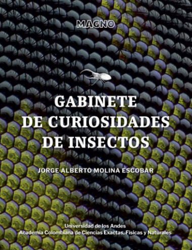 Gabinete de curiosidades de insectos