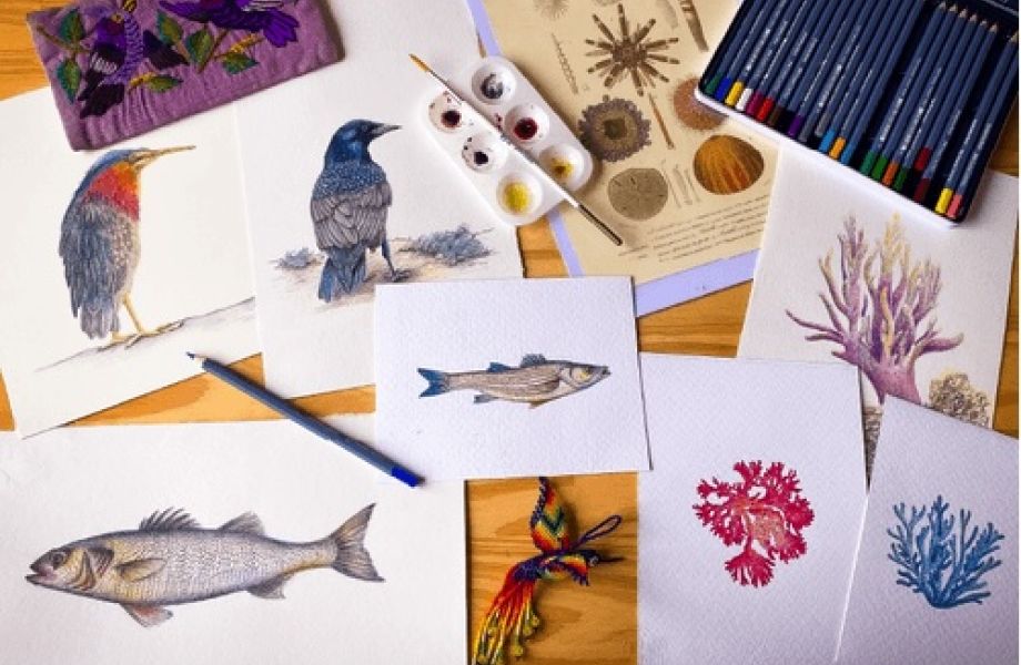 Ilustración científica y naturalista