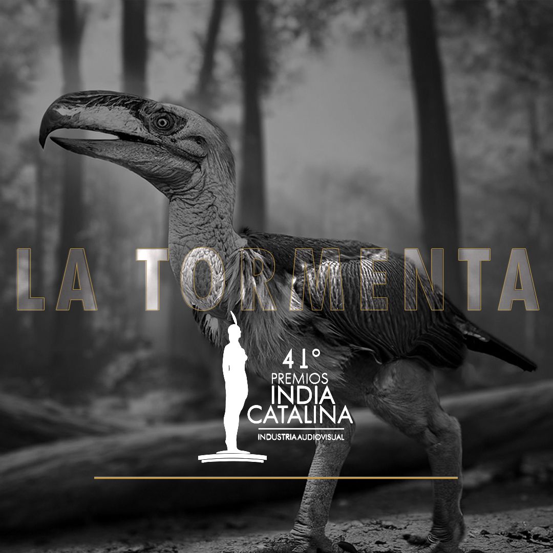 La Tormenta, una producción audiovisual realizada por profesores, estudiantes y el equipo de comunicaciones de la Facultad de Ciencias, se encuentra nominada a Mejor Producción Universitaria en los 41º Premios India Catalina – 2025.