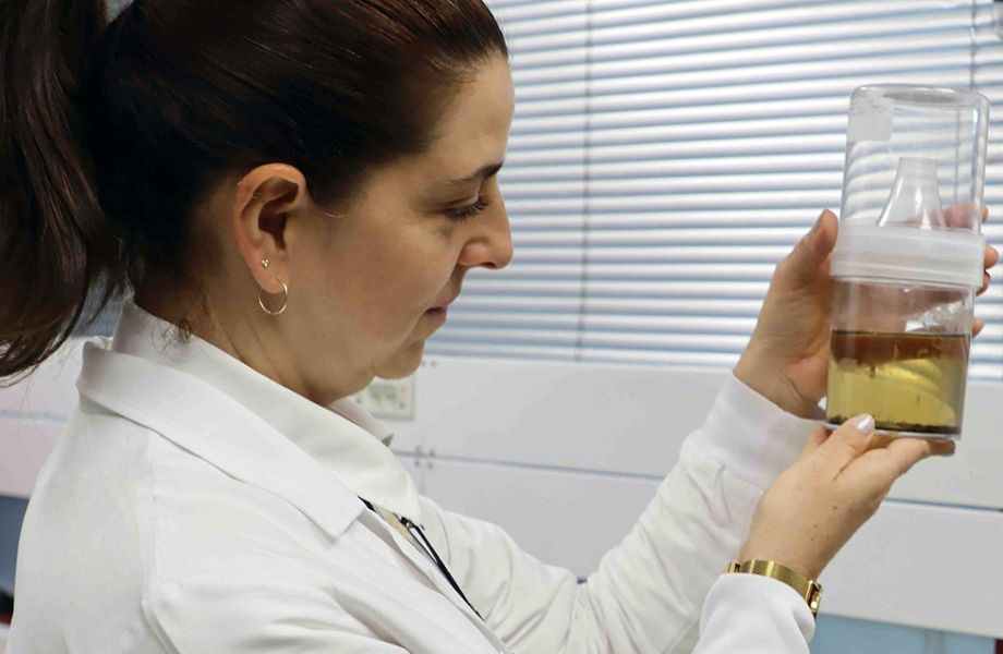 Durante los últimos años, Camila González y un grupo de egresados e investigadores colaboraron en una investigación con científicos de la Universidad de Toronto y de otras instituciones en Norteamérica, Sudamérica y Asia.